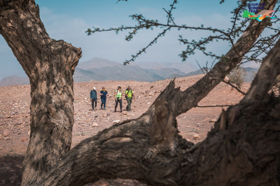 504: Ma’tan to Dana