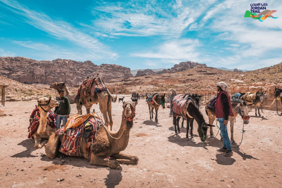 604: Little Petra to Petra