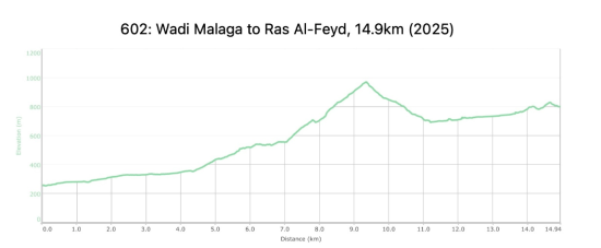 602: Wadi Malaga to Ras Al-Feid