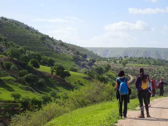 Umm Qais (Gadara) - Almond trail
