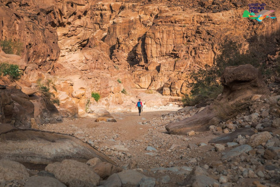 702: Gaa’ Mriebed to Wadi al-Saif