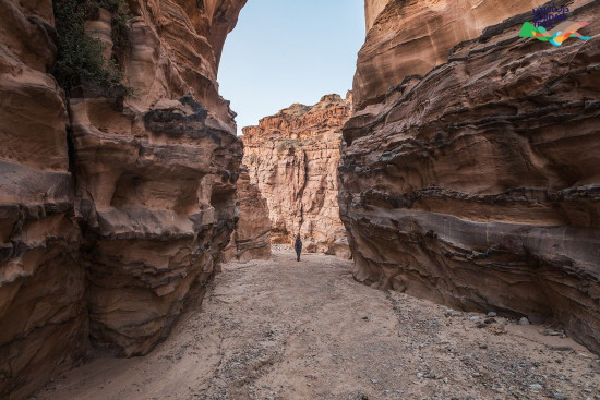 705: Wadi Aheimar to Humeima