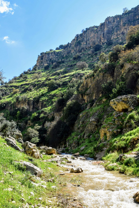 Wadi Al Rayyan