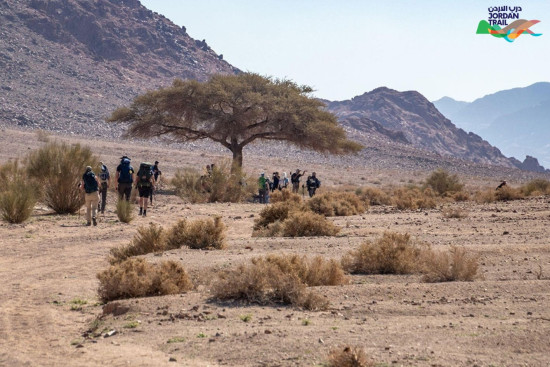 805: Wadi Waraqa to Final Camp
