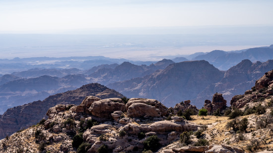 Dana to Mansourah