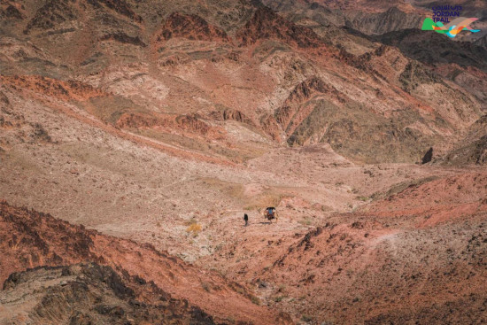 806: Final Camp to Aqaba