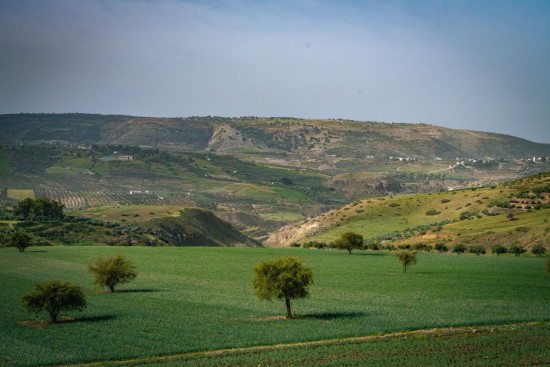 Umm Qais (Gadara) to Zabda Village