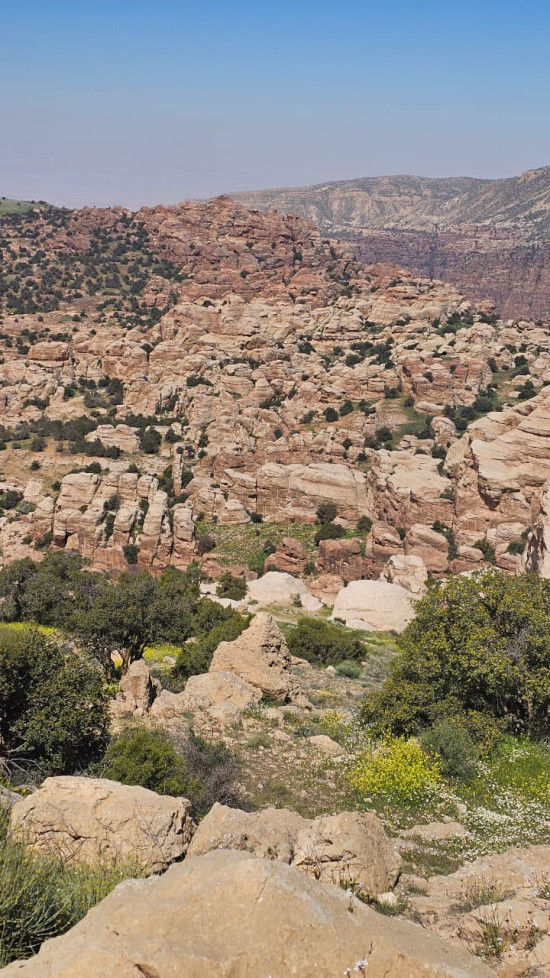 Shag Al Reesh Hike 11 September 2026