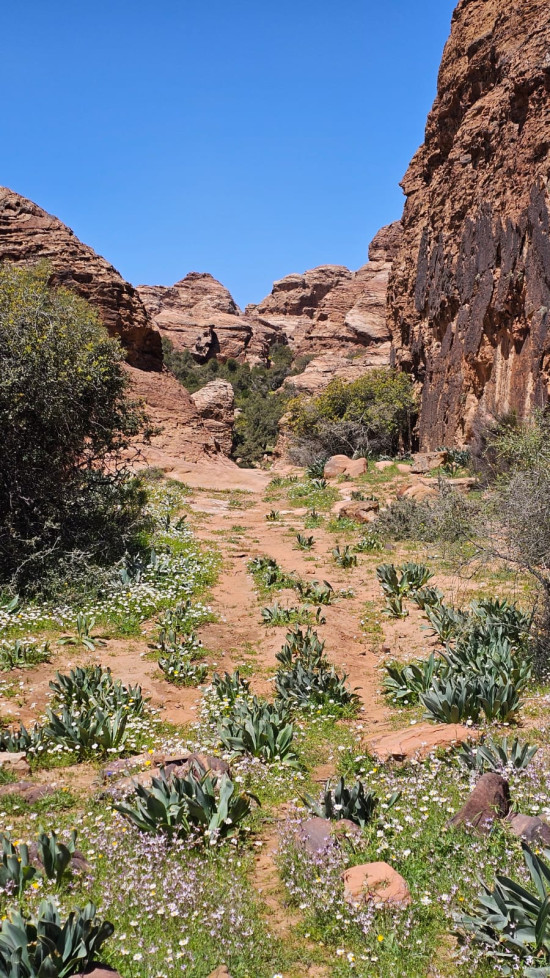 Shag Al Reesh Hike 11 September 2026