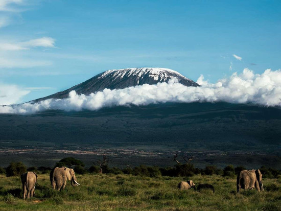 MT. KILIMANJARO 1 Feb 2026