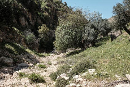 Ajloun to Afana 30 January 2026