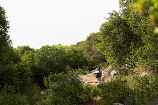 Zubia Forest Circuit Trail 24 April, 2026