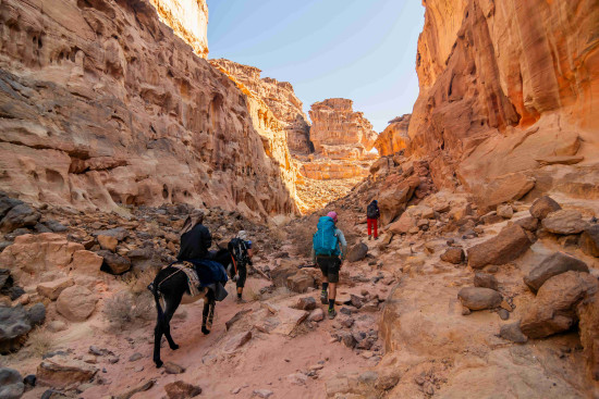 704: Wadi Gseib to Wadi Aheimar