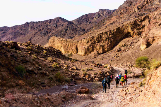 Petra to Wadi Rum (Jordan Trail, group) 14 September, 2026