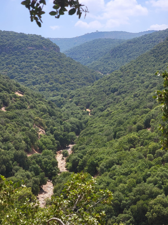 Inbeh Forest Trail