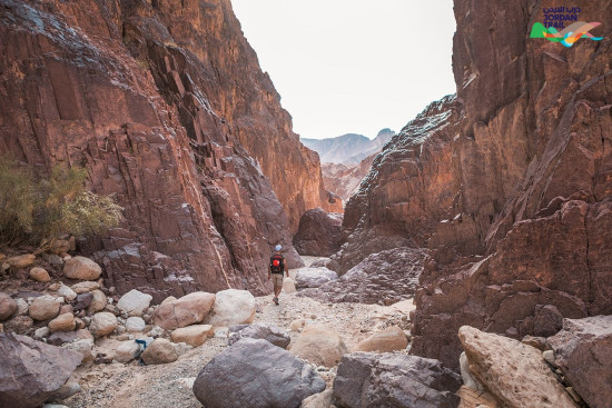 703: Wadi al-Saif to Wadi Gseib