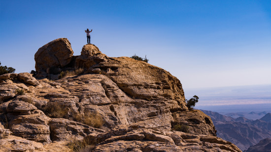 Dana to Mansourah