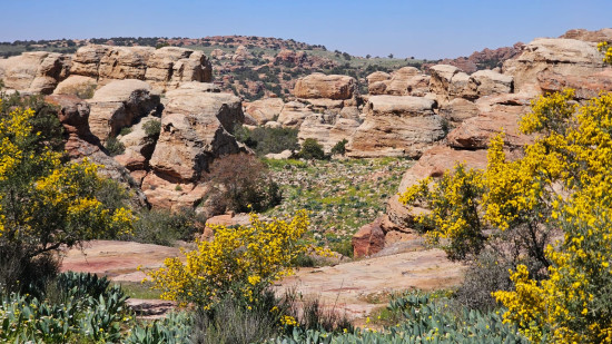 Dana - Shag il Reesh hike