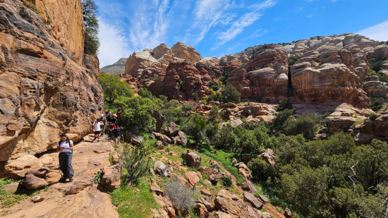 Shag Al Reesh Hike 11 September 2026